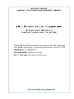 Mối liên hệ giữa danh tiếng trường đại học, tính cách thương hiệu, gắn kết thương hiệu và lòng trung thành của sinh viên tại tp  hồ chí minh báo cáo tổng kết đề tài nghiên cứu khoa học cấp trường