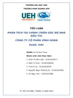 Tiểu luận phân tích tài chính (trên góc độ nhà đầu tư) công ty cổ phần vĩnh hoàn hose vhc