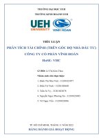 Tiểu luận phân tích tài chính (trên góc độ nhà đầu tư) công ty cổ phần vĩnh hoàn hose vhc