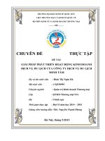 Giải pháp phát triển hoạt động kinh doanh dịch vụ du lịch của công ty dịch vụ du lịch minh tâm