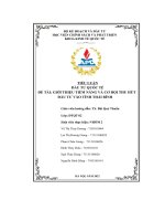 Tiểu luận đầu tư quốc tế đề tài giới thiệu tiềm năng và cơ hội thu hút đầu tư vào tỉnh thái bình