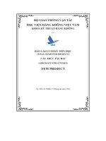 Báo cáo cuối kỳ môn học (final semester project) cấu trúc tàu bay (aircraft structures) fem project
