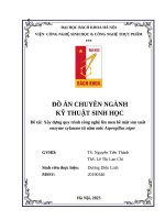 ĐỒ ÁN CHUYÊN NGÀNH KỸ THUẬT SINH HỌC Đề tài: Xây dựng quy trình công nghệ lên men bề mặt sản xuất enzyme xylanase từ nấm mốc Aspergillus niger