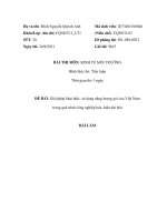 giải pháp năng lượng gió tại Việt Nam