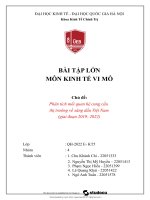 Phân tích mối quan hệ cung cầu thị trường về xăng dầu việt nam (giai đoạn 2019  2022)