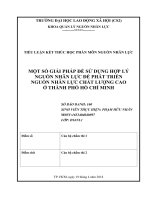 Một số giải pháp để sử dụng hợp lý nguồn nhân lực để phát triển nguồn nhân lực chất lượng cao ở Thành phố Hồ Chí Minh