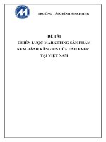 Tiểu Luận - Marketing Căn Bản -  Đề Tài -  Chiến Lược Marketing Sản Phẩm Kem Đánh Răng Ps Của Unilever Tại Việt Nam 