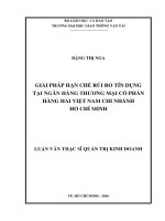 Giải pháp hạn chế rủi ro tín dụng tại ngân hàng thương mại cổ phần hàng hải việt nam chi nhánh hồ chí minh luận văn thạc sĩ chuyên ngành quản trị kinh doanh