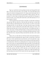 Nghiên cứu các giải pháp nâng cao chất lượng dịch vụ qos của hệ thống truyền hình số dvb   c của htvc,luận văn thạc sĩ  chuyên ngành kỹ thuật điện tử