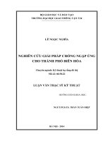 Nghiên cứu giải pháp chống ngập úng cho thành phố biên hòa luận văn thạc sỹ chuyên ngành kỹ thuật hạ tầng đô thị
