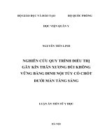 Luận án tiến sĩ nghiên cứu quy trình điều trị gãy kín thân xương đùi không vững bằng đinh nội tủy có chốt dưới màn tăng sáng