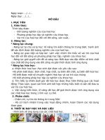 Giáo Án Hóa 10 Kntt.docx