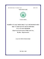 (Luận án tiến sĩ) nghiên cứu đặc điểm thực vật, thành phần hóa học và một số tác dụng sinh học của cây ban hooker (hypericum hookerianum wight  and arn , họ ban   hypericaceae)