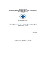 Tiểu luận công nghiệp hóa, hiện đại hóa và vận dụng thực tiển công nghiệp hóa, hiện đại hóa ở việt nam