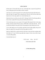 Nghiên cứu giải pháp thoát nước bền vững cho lưu vực thoát nước quận hai bà trưng thành phố hà nội