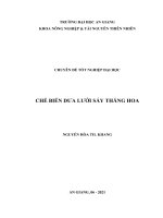 Chế biến dưa lưới sấy thăng hoa