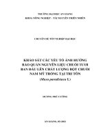 Khảo sát các yếu tố ảnh hưởng bảo quản nguyên liệu chuối tươi ban đầu lên chất lượng bột chuối nam mỹ trồng tại tri tôn musa paradisiaca l