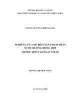 Nghiên cứu chế biến sản phẩm nhãn nước đường đóng hộp dimocarpus longan lour