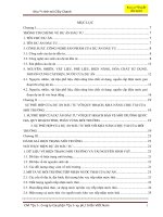 Báo cáo đề xuất cấp Giấy phép môi trường Khu đô thị C©y Chanh