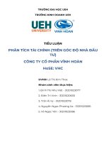 Tiểu Luận Phân Tích Tài Chính (Trên Góc Độ Nhà Đầu Tư) Công Ty Cổ Phần Vĩnh Hoàn Hose Vhc.pdf