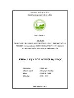 Nghiên cứu đánh giá sinh trưởng và phát triển của nấm mối đen (xerula radicata) trên cơ chất mùn cưa cây keo và mùn cưa cây cao su tại thái nguyên