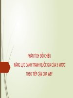 Bài Tiểu Luận -  Kinh Tế Thị Trường Mới Nổi  - Đề Tài  - Phân Tích Đối Chiếu  Năng Lực Cạnh Tranh Quốc Gia Của 5 Nước Theo Tiếp Cận Của Wef