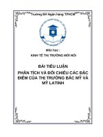 Bài Tiểu Luận Kinh Tế Thị Trường Mới Nổi Đề Tài Phân Tích Và Đối Chiếu Các Đặc Điểm Của Thị Trường Bắc Mỹ Và Mỹ Latinh.docx