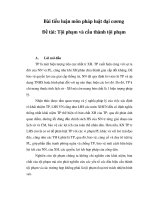 Luận Văn Bài Tiểu Luận Tội Phạm Và Cấu Thành Tội Phạm.pdf