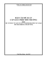 BÁO CÁO ĐỀ XUẤT CẤP GIẤY PHÉP MÔI TRƯỜNG CỦA DỰ ÁN ĐẦU TƯ SẢN XUẤT VÀ KINH DOANH CÁC LOẠI MŨ BẢO HIỂM JTECH VINA