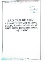 Báo cáo đề xuất cấp GPMT Dự án “Nhà máy thực phẩm tổng hợp Kowa (Việt Nam)