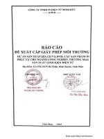 Báo cáo đề xuất cấp GPMT dự án: Sản xuất đĩa CD và DVD; các sản phẩm in phục vụ cho ngành công nghiệp, thương mại; sản xuất linh kiện điện tử