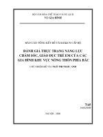 Luận Văn Đánh Giá Thực Trạng Năng Lực Chăm Sóc Giáo Dục Trẻ Em Của Các Gia Đình Khu Vực Nông Thôn Phía Bắc.pdf