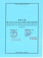 Báo cáo Đề xuất cấp giấy phép môi trường của dự án Đầu tư Nhà máy sản xuất bao bì PP, PE