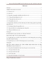 Báo cáo đề xuất cấp GPMT của dự án Nhà máy sản xuất, chế thức ăn chăn nuôi