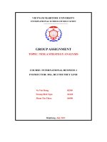 Groupassignment topic tesla strategy analysis