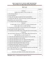 BÁO CÁO ĐỀ XUẤT CẤP GIẤY PHÉP MÔI TRƯỜNG: Dự án “Đầu tư xây dựng trang trại chăn nuôi lợn thịt”