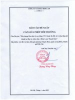 Báo cáo đề xuất cấp GPMT của dự án đầu tư: Xây dựng Khu nhà ở cao tầng CT1 thuộc lô đất A6 và hạ tầng kỹ thuật tại Dự án Khu nhà ở Him Lam Thạch Bàn