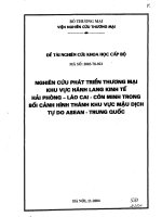 Luận Văn Nghiên Cứu Phát Triển Thương Mại Khu Vực Hành Lang Kinh Tế Hải Phòng - Lào Cai - Côn Minh Bối Cảnh Hình Thành Khu Vực Mậu Dịch Tự Do Asean - Trung Quốc.pdf