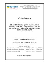 Phân tích khái quát báo cáo tài chính công ty tnhh mtv sx  tm  dv quần áo may sẵn  vải  sợi  thú nhồi bông thanh xuân