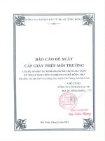 BÁO CÁO ĐỀ XUẤT CẤP GIẤY PHÉP MÔI TRƯỜNG Dự án Đầu tư kinh doanh xây dựng hạ tầng kỹ thuật Cụm công nghiệp đa nghề Đông Thọ