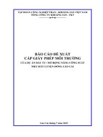 BÁO CÁO ĐỀ XUẤT CẤP GIẤY PHÉP MÔI TRƯỜNG CỦA DỰ ÁN ĐẦU TƯ: MỞ RỘNG NÂNG CÔNG SUẤT NHÀ MÁY LUYỆN ĐỒNG LÀO CAI