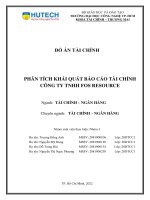 Phân tích khái quát báo cáo tài chính công ty tnhh fos resource