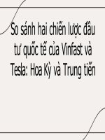 Tiểu luận quan hệ kinh tế  quốc tế đề tài case study so sánh chiến lược đầu tư quốc tế giữa vinfast và tesla  hoa kỳ tiến và trung tiến