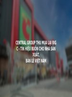 Tiểu luận - quan hệ kinh tế quốc tế - đề tài - Case Study Central Group Thu Mua Lại Big C – Tín Hiệu Buồn Cho Nhà Sản Xuất, Bán Lẻ Việt Nam