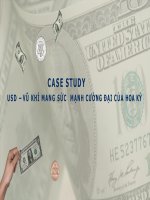Tiểu luận quan hệ kinh tế  quốc tế đề tài case study usd – vũ khí mang sức mạnh thời đại của hoa kỳ