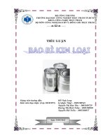 Luận Văn Bài Tiểu Luận Bao Bì Kim Loại.pdf