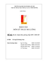 Luận Văn Bài Tiểu Luận Hệ Đo Alpha-Beta Phông Thấp Mpc 2000 Dp.pdf