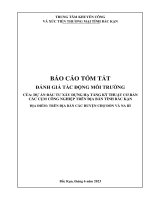 BÁO CÁO TÓM TẮT ĐÁNH GIÁ TÁC ĐỘNG MÔI TRƯỜNG CỦA: DỰ ÁN ĐẦU TƯ XÂY DỰNG HẠ TẦNG KỸ THUẬT CƠ BẢN CÁC CỤM CÔNG NGHIỆP TRÊN ĐỊA BÀN TỈNH BẮC KẠN