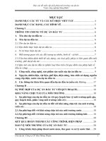 Báo cáo đề xuất cấp giấy phép môi trường của dự án “Cụm công nghiệp Sông Bình”