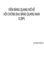 VIÊM BÀNG QUANG MÔ KẼ HỘI CHỨNG ĐAU BÀNG QUANG MẠN ICBPS